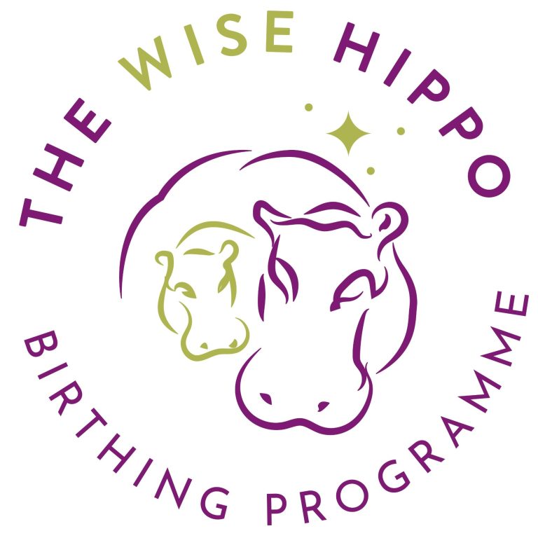 The Wise Hippo Birthing Programme